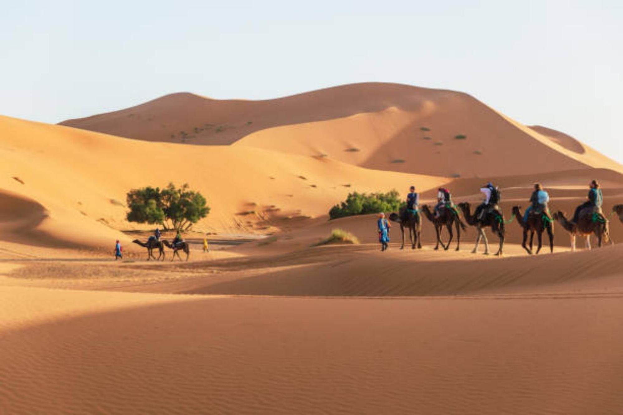 Desert Berber Fire Camp Merzouga Bagian luar foto